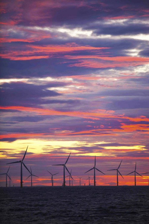 The Walney offshore windfarm at sunset, Cumbria, UK