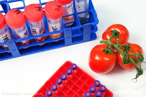 Vegetables Testing in Germany Obst und Gemuese im Labor